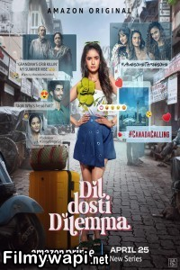 Dil Dosti Dilemma (2024) Hindi Web Series poster