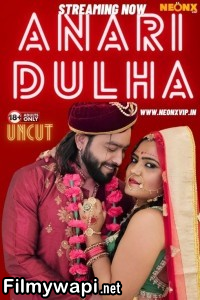 Anari Dulha (2024) Neonx Hindi Short Film poster