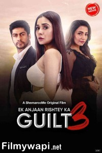 Ek Anjaan Rishtey Ka Guilt 3 (2024) Hindi Movie poster