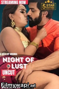 Night Of Lust (2024) Hotx Hindi Short Film poster