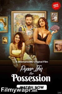 Pyaar Ishq Aur Possession (2024) Hindi Movie poster