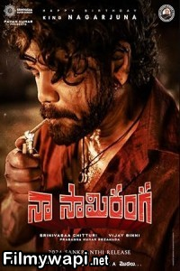 Naa Saami Ranga (2024) Hindi Dubbed Movie poster