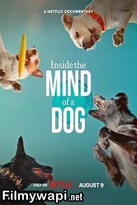 Inside the Mind of a Dog (2024) Hollywood Hindi Dubbed