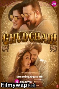 Ghudchadi (2024) Hindi Movie poster