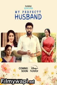 My Perfectt Husband (2024) Hindi Web Series poster