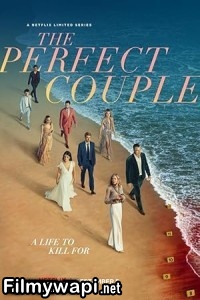 The Perfect Couple (2024) Hindi Web Series