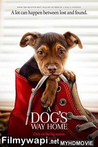 A Dogs Way Home (2019) Hindi Dubbed poster