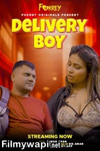 Delivery Boy (2024) Fukrey Hindi Short Film poster