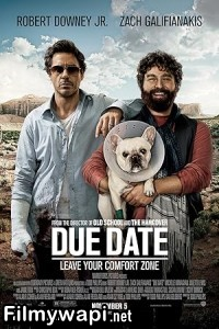 Due Date (2010) Hollywood Hindi Dubbed