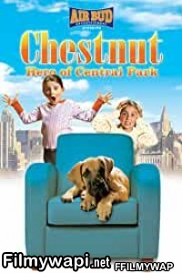 Chestnut Hero Of Central Park (2005) Hindi Dubbed poster