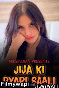 Jija Ki Pyari Saali (2021) Niksindian Original poster