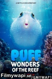 Puff Wonders Of The Reef (2021) Hindi Dubbed poster