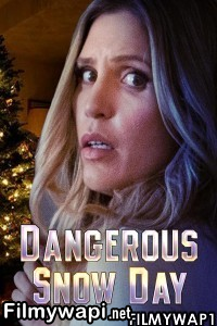 Dangerous Snow Day (2021) Hindi Dubbed poster