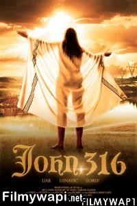 John 316 (2020) Hindi Dubbed poster