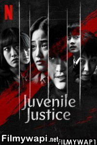 Juvenile Justice (2022) Hindi Web Series poster