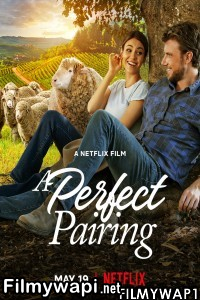 A Perfect Pairing (2022) Hindi Dubbed poster