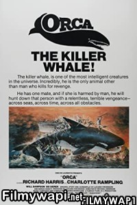 Orca The Killer Whale (1977) Hindi Dubbed poster