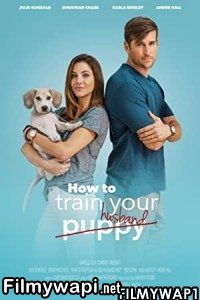 How To Train Your Husband (2017) Hindi Dubbed poster