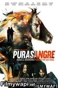 Purasangre (2016) Hindi Dubbed