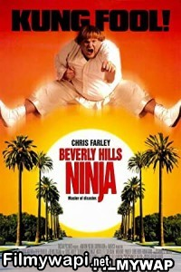 Beverly Hills Ninja (1997) Hindi Dubbed poster