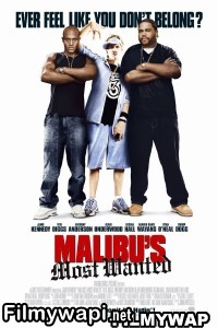 Malibus Most Wanted (2003) Hindi Dubbed poster