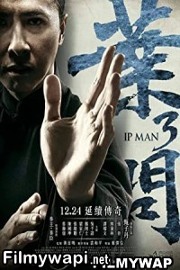 Ip Man 3 (2015) Hindi Dubbed