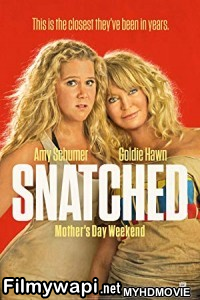 Snatched (2017) Hindi Dubbed poster