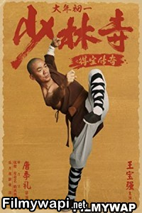 Rising Shaolin The Protector (2021) Hindi Dubbed poster