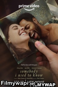 Somebody I Used To Know (2023) Hindi Dubbed poster