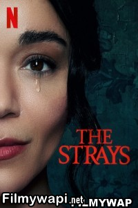 The Strays (2023) Hindi Dubbed poster