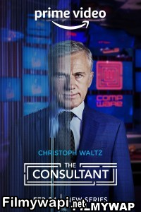 The Consultant (2023) Hindi Web Series poster