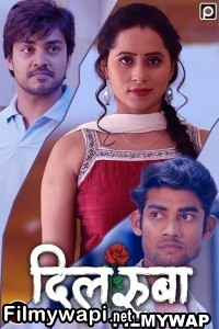 Dilruba (2023) Primeflix Original poster