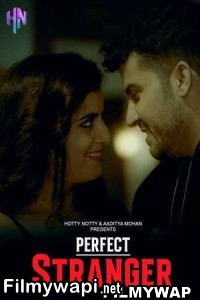 Perfect Stranger (2023) Hottynotty Original poster