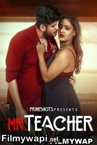 Mr Teacher (2023) Primeshots Hindi Hot Webseries poster