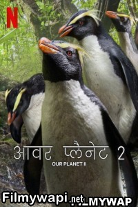 Our Planet (2023) Season 2 Hindi Web Series poster