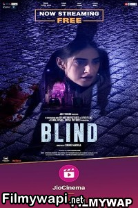 Blind (2023) Hindi Movie