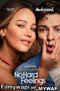 No Hard Feelings (2023) Hindi Dubbed