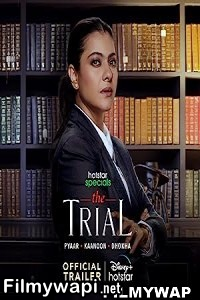 The Trial (2023) Hindi Web Series poster