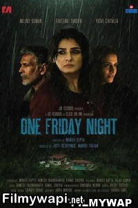 One Friday Night (2023) Hindi Movie poster