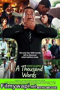 A Thousand Words (2012) Hindi Dubbed poster