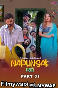 Napunshak (2023) Chiku App Original Hindi Hot Webseries poster