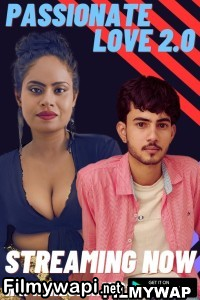 Passionate Love 2 0 (2023) Neonx Hindi Short Film poster