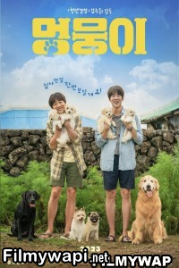 My Heart Puppy (2023) Hindi Dubbed poster