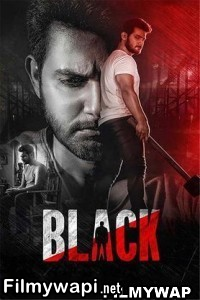 Black (2023) Hindi Dubbed Movie poster