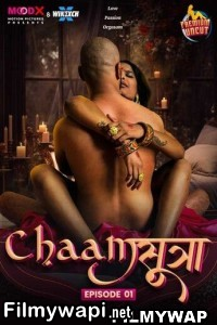 Chaam Sutra (2024) MoodX Hindi Unrated Web Series