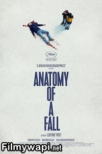 Anatomy of a Fall (2024) Hollywood Hindi Dubbed